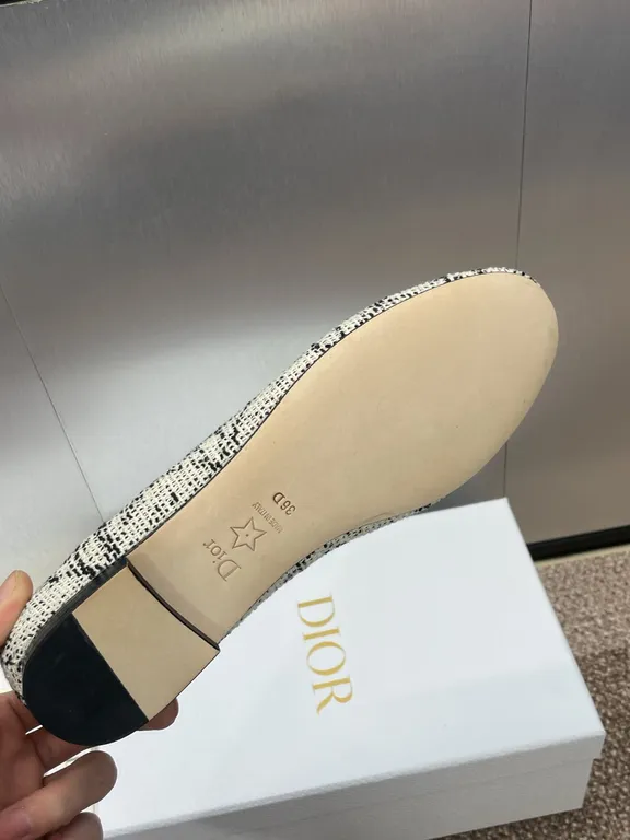 Dior Shoe 